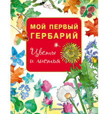 Мой первый гербарий. Цветы и листья