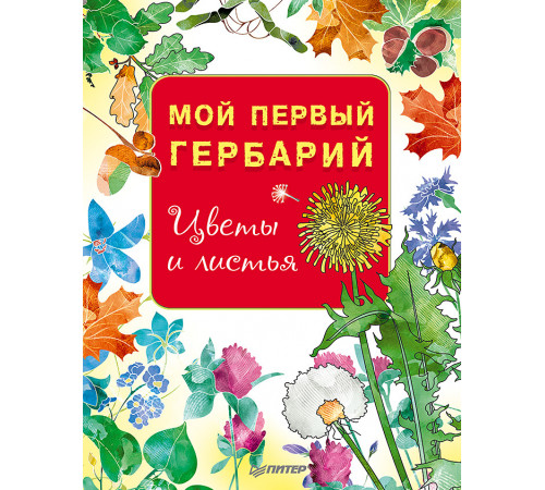 Мой первый гербарий. Цветы и листья Мой первый гербарий. Цветы и листья