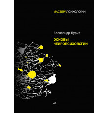 Основы нейропсихологии