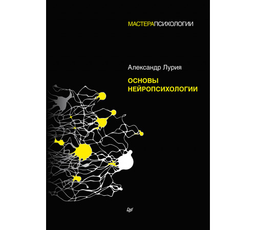 Основы нейропсихологии