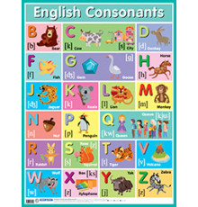 Английские согласные звуки = English Consonants