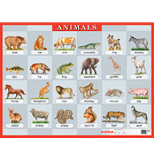 Животные. Animals. Наглядное пособие по англ.яз.