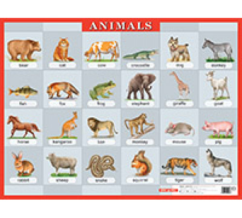 Животные. Animals. Наглядное пособие по англ.яз. Животные. Animals. Наглядное пособие по англ.яз.