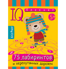 Умный блокнот. 75 лабиринтов 5+