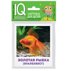 Умный малыш. Аквариумные рыбы. Набор карточек для детей.