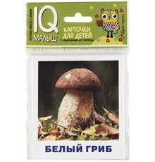 Умный малыш. Грибы наших лесов. Набор карточек для детей.