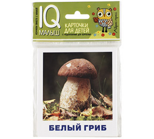 Умный малыш. Грибы наших лесов. Набор карточек для детей. Умный малыш. Грибы наших лесов. Набор карточек для детей.