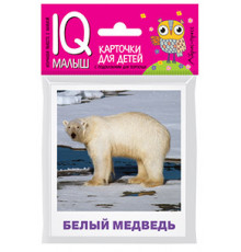 Умный малыш. Животные полярных широт. Набор карточек для детей.