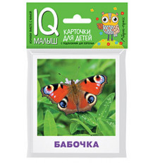 Умный малыш. Насекомые. Набор карточек для детей.