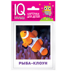 Умный малыш. Обитатели морей и океанов. Набор карточек для детей.