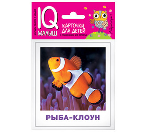 Умный малыш. Обитатели морей и океанов. Набор карточек для детей. Умный малыш. Обитатели морей и океанов. Набор карточек для детей.