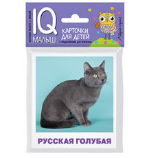 Умный малыш. Породы кошек Набор карточек для детей.
