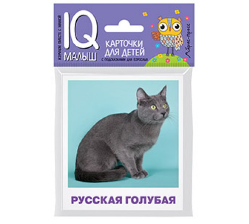 Умный малыш. Породы кошек Набор карточек для детей. Умный малыш. Породы кошек Набор карточек для детей.