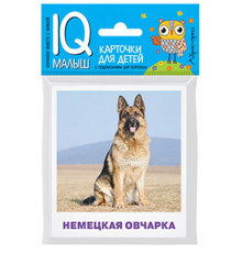 Умный малыш. Породы собак Набор карточек для детей.