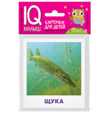 Умный малыш. Пресноводные рыбы. Набор карточек для детей.