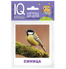 Умный малыш. Птицы. Набор карточек для детей.