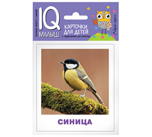 Умный малыш. Птицы. Набор карточек для детей. Умный малыш. Птицы. Набор карточек для детей.