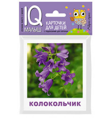 Умный малыш. Что растёт на клумбе? Набор карточек для детей.