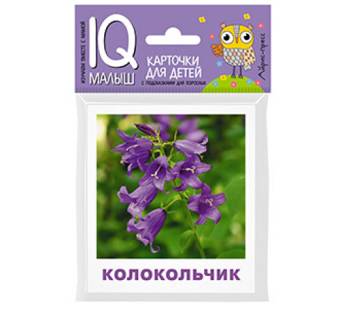 Умный малыш. Что растёт на клумбе? Набор карточек для детей. Умный малыш. Что растёт на клумбе? Набор карточек для детей.