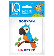 Умный малыш. Кто где находится? Набор карточек для детей.