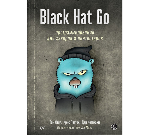 Black Hat Go: Программирование для хакеров и пентестеров Black Hat Go: Программирование для хакеров и пентестеров